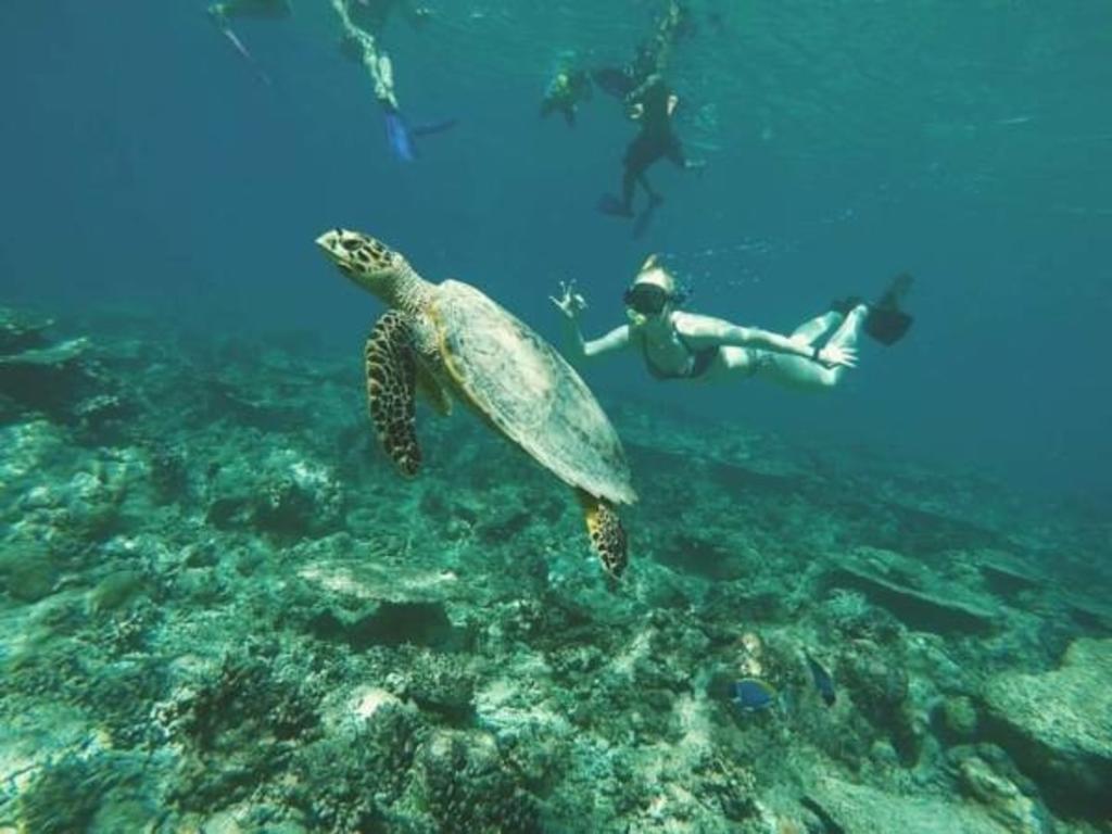 Gurus Maldives at Gulhi Island Hotel Bagian luar foto